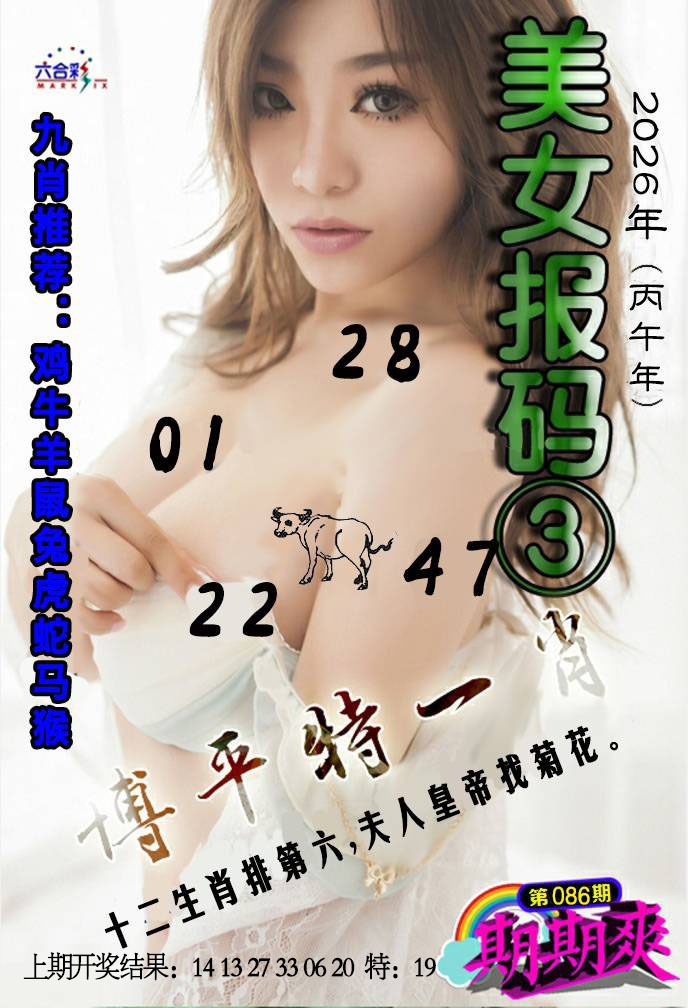 086期美女码报3[图]